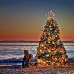 Christmas tree on the beach